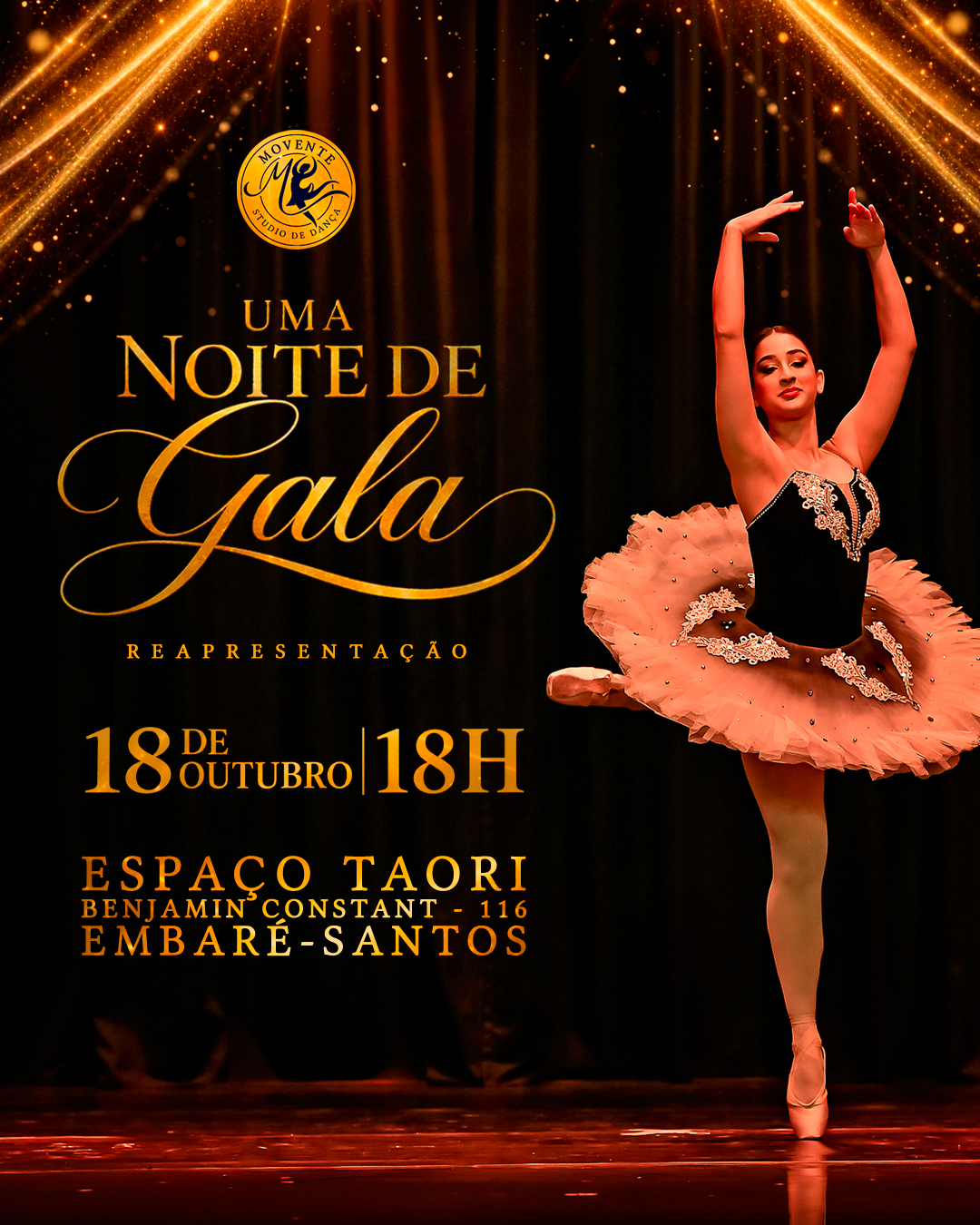 uma noite de gala espetáculo
